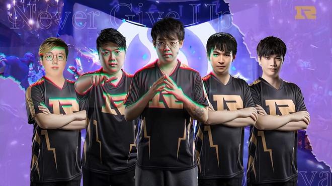 她不仅以硬 她不仅以硬